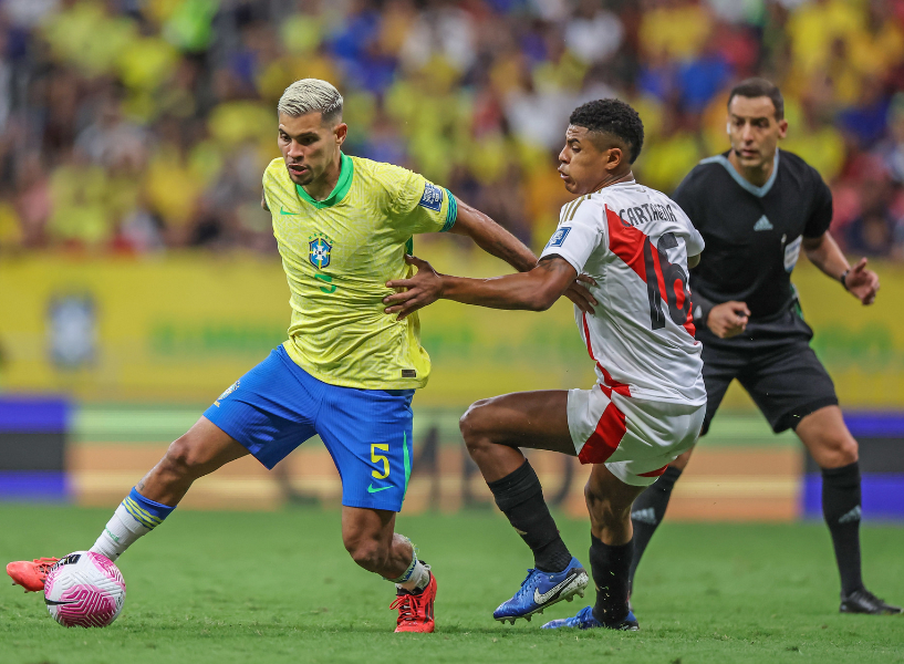 细胞的挑战 细胞的挑战